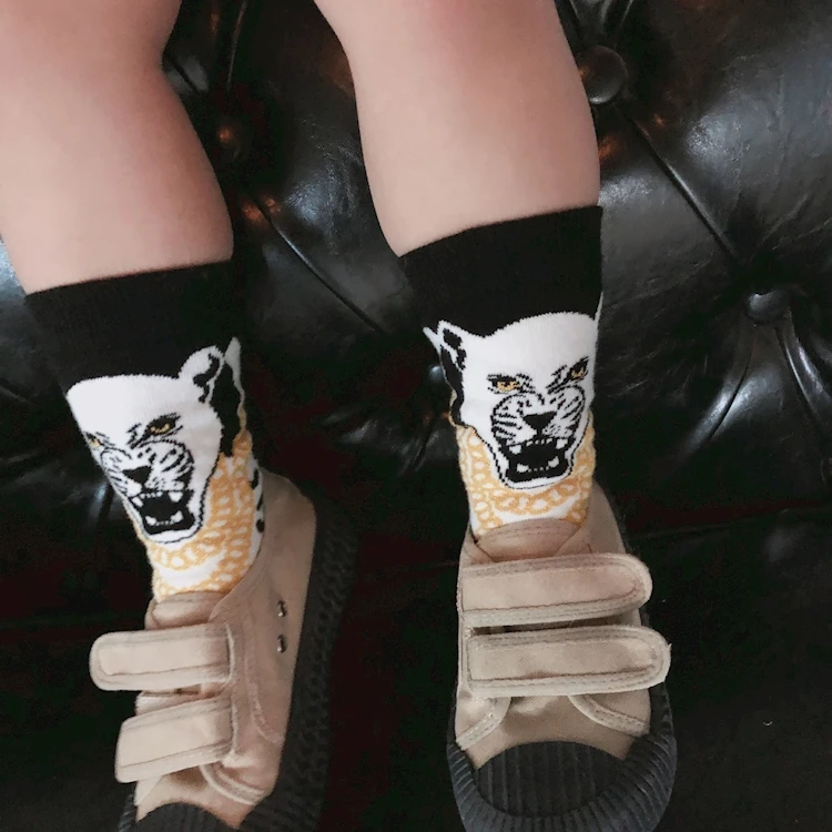 13.jpg.750