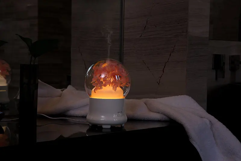 air humidifier (2)