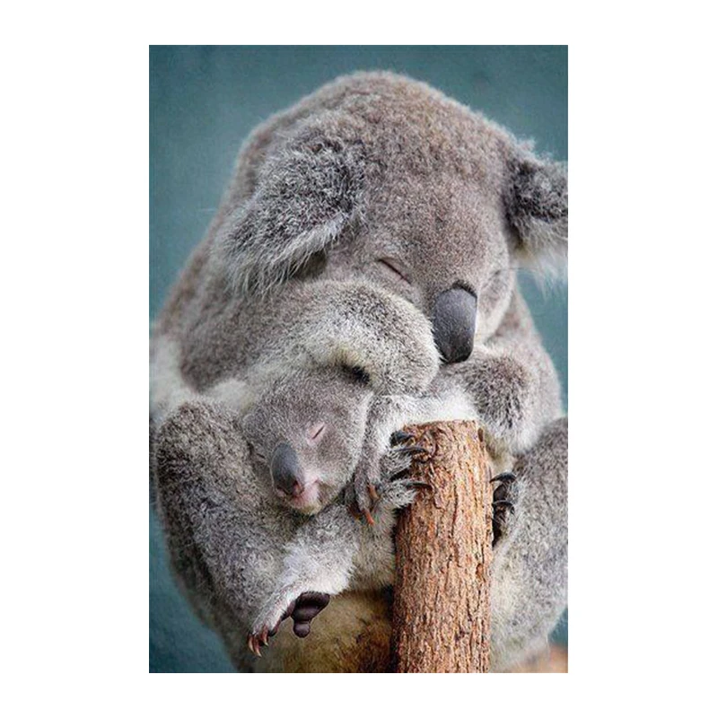 

DIY 5D diamond painting koala 3D diamond embroidery cartoon craft square diamond full mosaic home decoration LK1