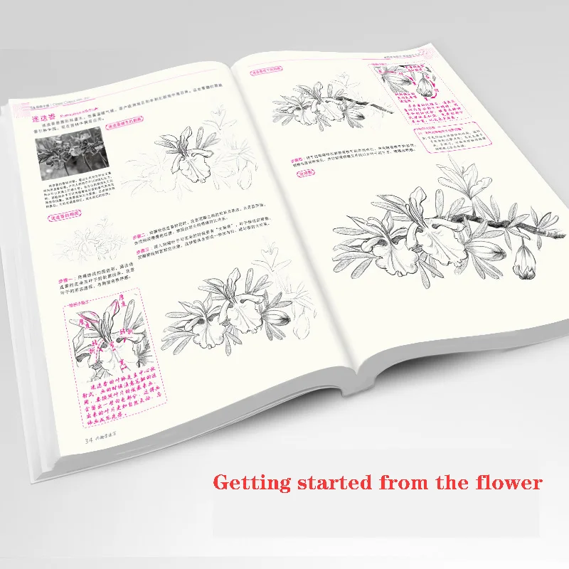 Interest In Learning To Copy Linyi Zero-based Adult Coloring Book Pencil Pure Hand Painting Technique Art Beginner Textbooks Interest In Learning To Copy Linyi Zero-based Adult Coloring Book Pencil Pure Hand Painting Technique Art Beginner Textbooks