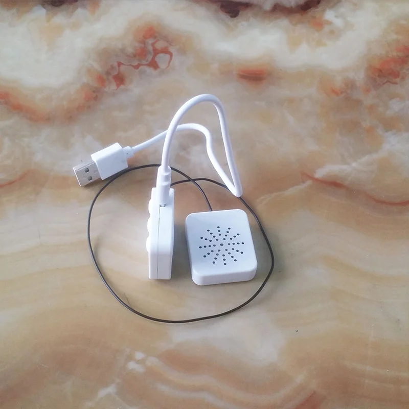 speaker-3