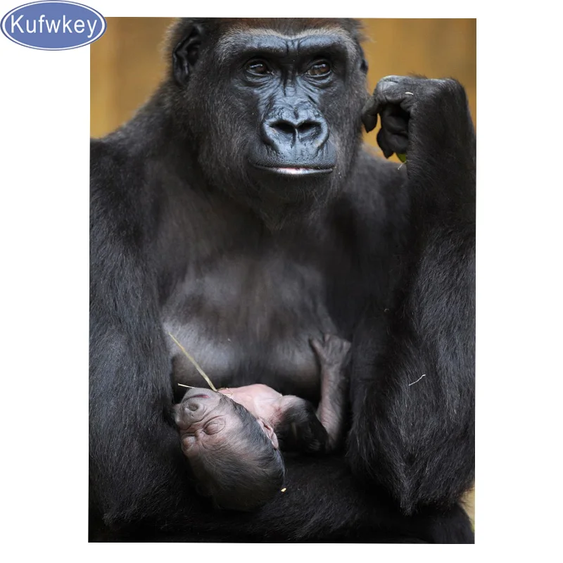 

Gorilla Mother and Baby Diamond Painting full square Diamond Embroidery sale Beadwork Cross Stitch animal 5D Home Decoration