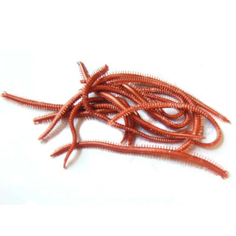 JK511A (7)