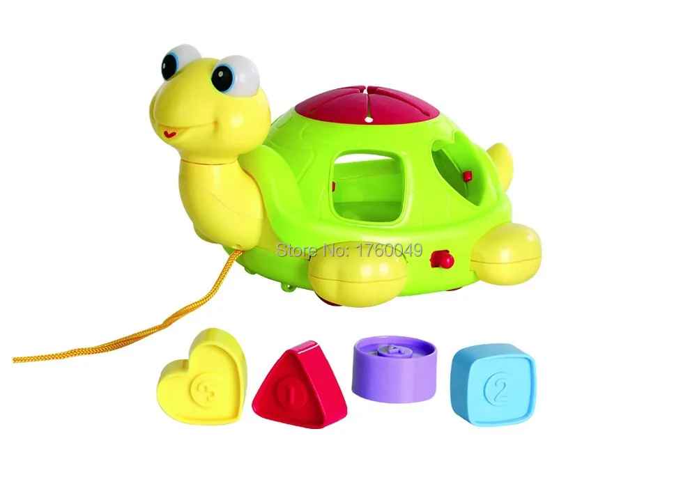 turtle shape sorter