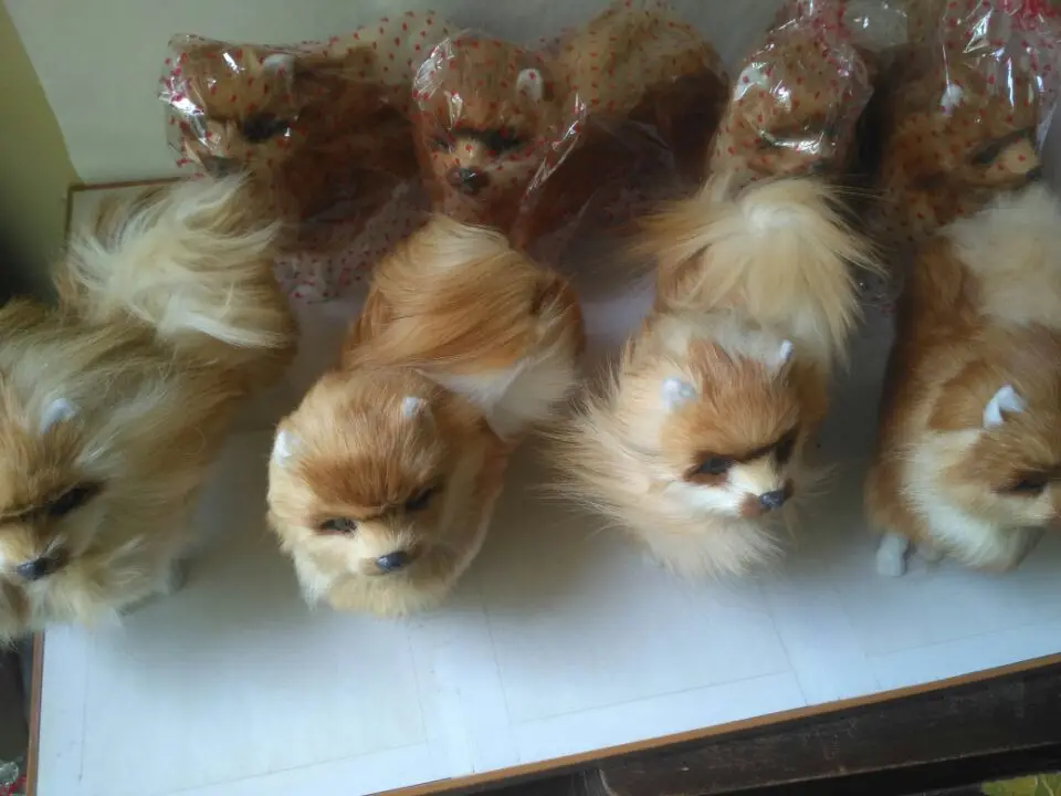 Cerca de 23x20.5x9cm Nova Simulação Brinquedo Polietileno & Peles Cor Natural Pomeranian Boneca Presente 1185 Cão 10 simulation dog