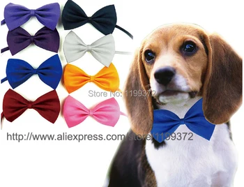 

Free shipping! 100pcs 25 - 45cm Round Tie Dog Neck Tie Bow Tie Cat Pet Grooming Pets Headdress Flower Mixed Many Colors