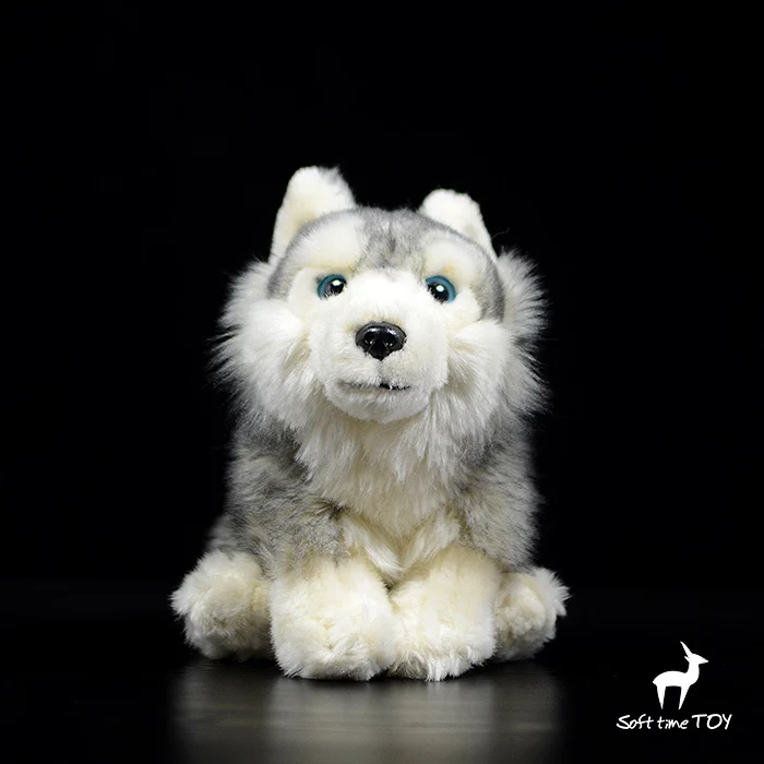 

Kids toys Plush dogs Doll Real life husky dolls birthday gifts girlfriend soft and cute toy
