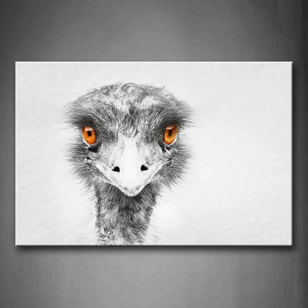 

Framed Wall Art Picture Emu Head Portrait Canvas Print Animal Modern Poster With Wooden Frame For Home Living Room Decor
