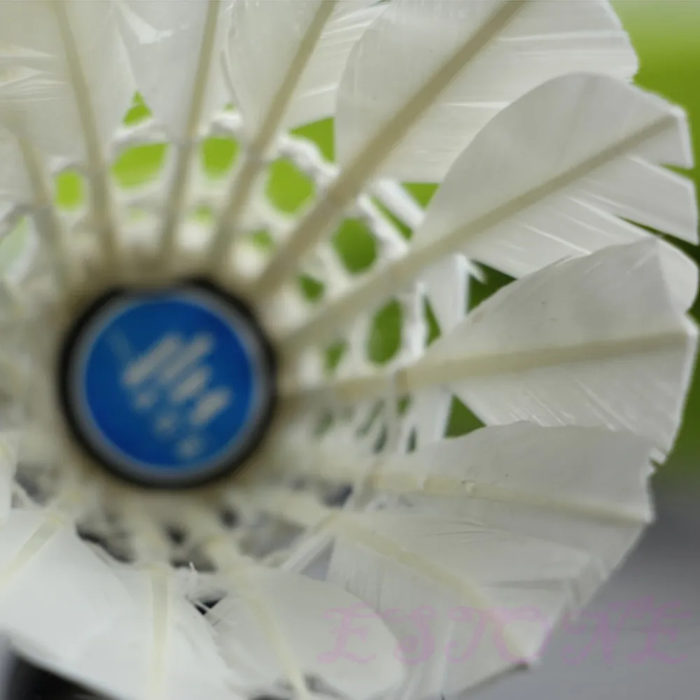 12X entrenamiento deportes White Goose Feather Birdies Juego de Pelota Shuttlecocks Badminton 12X entrenamiento deportes White Goose Feather Birdies Juego de Pelota Shuttlecocks Badminton