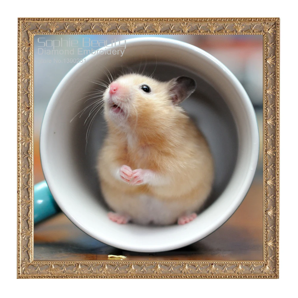 Маленькие хомячки. Круг для хомяка. Алмазы в хомяке. Алмазы в хомяке. Гранулы белка.