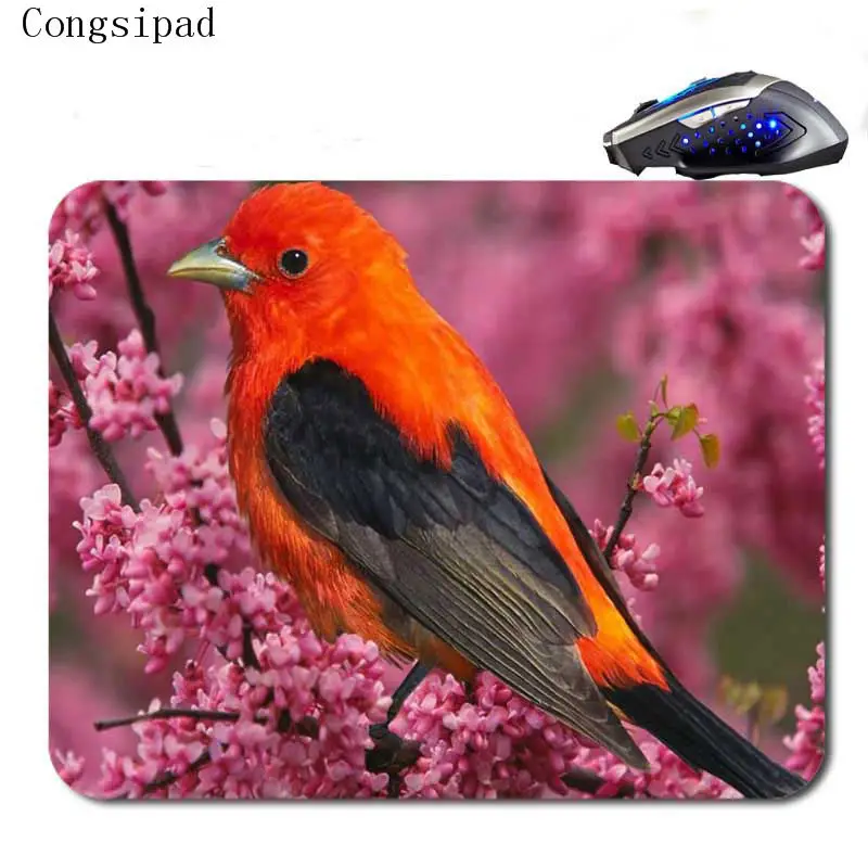 Congsipad красочные Pajaros пользовательские противоскользящие высокой четкости печати