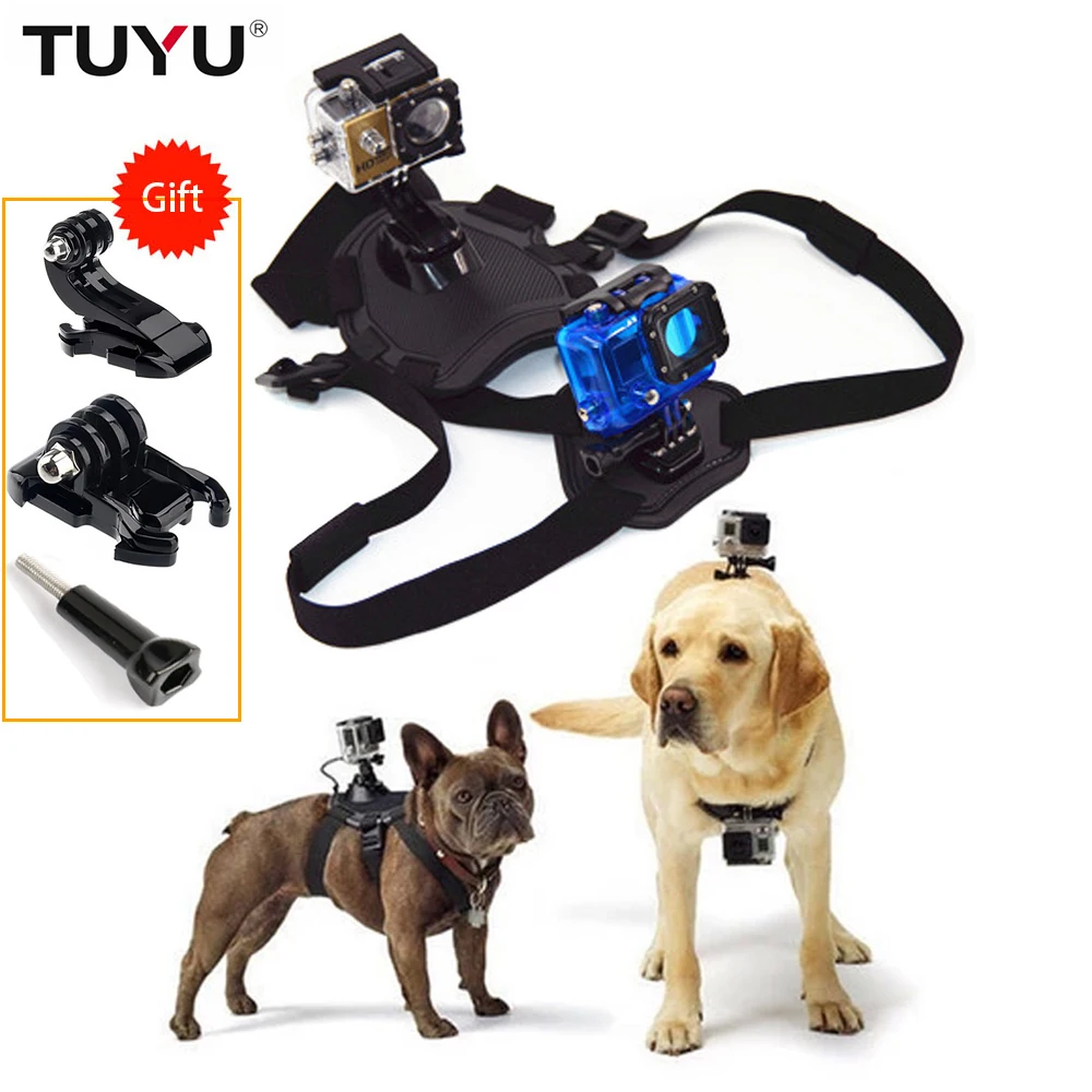 ペット犬フェッチハーネスチェスベルトマウントベースのgopro 9 8 7 5 Sjcam Enken H9李4 18kスポーツカメラアクセサリー スポーツ ビデオカメラ ケース Aliexpress