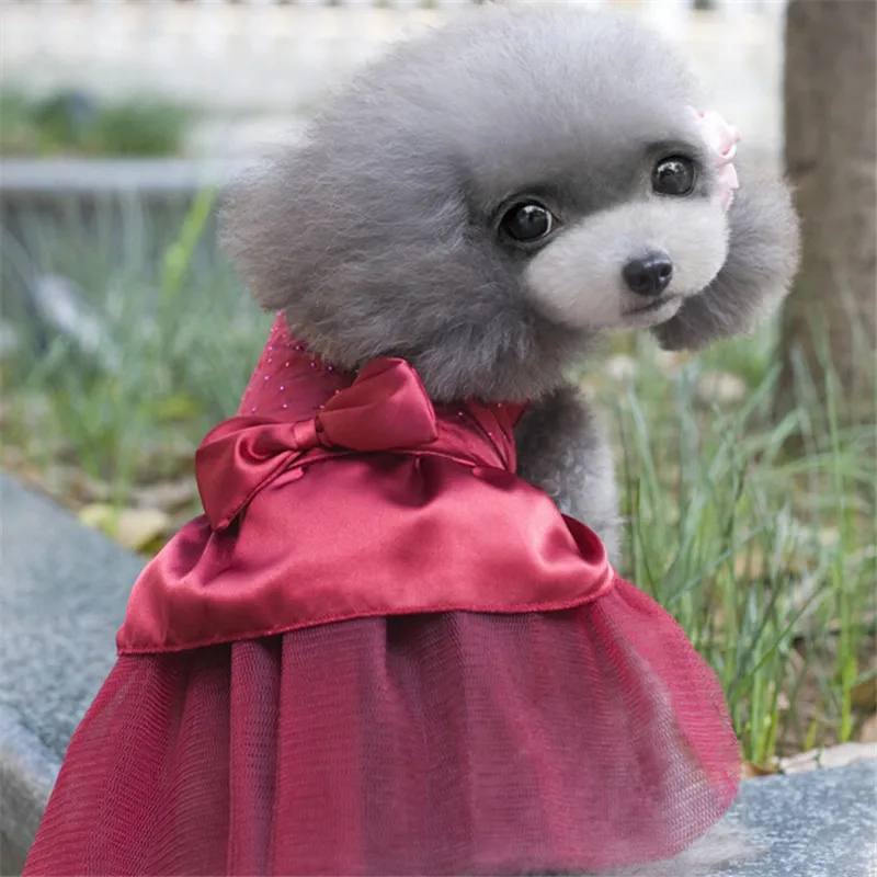 

Puppy Outfit Coat Pet dog Clothes Summer For Dogs chihuahua dog clothes Jacket For Small Dogs chihuahua clothes