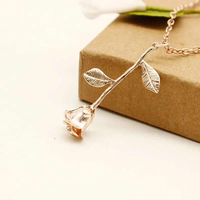 245083_no-logo_245083-3-01