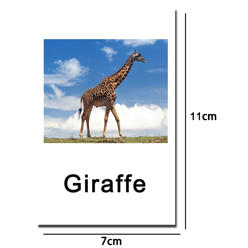 size
