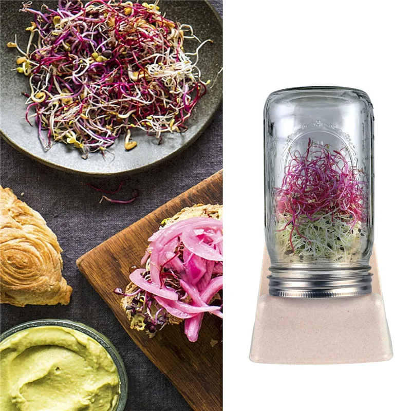 

2018 New 2 Pack Sprouting Stands with Water Tray for Mason Jar Seed Scaffolds Non-slip Rack Holder Storage Shelf Clip