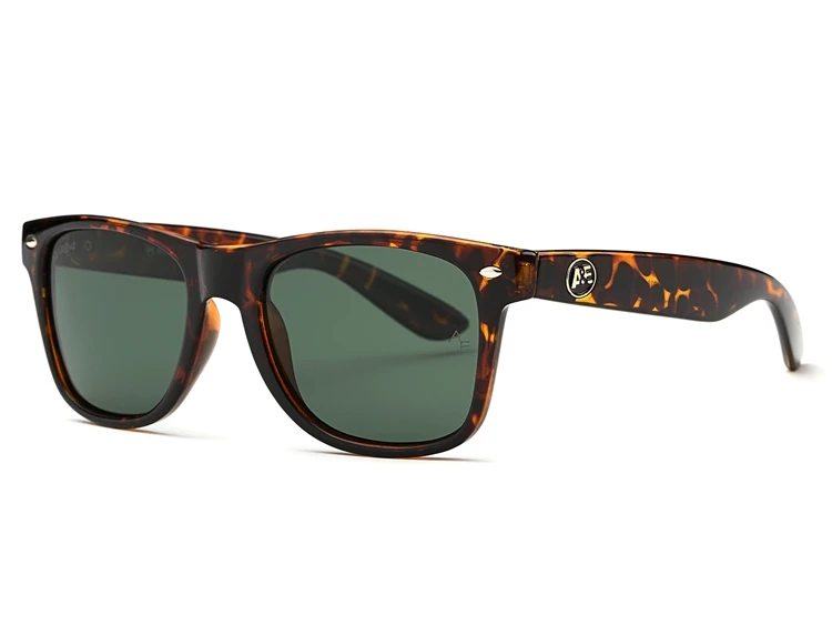 AEVOGUE, поляризационные солнцезащитные очки, мужские, толстая ацетатная оправа, линзы Polaroid, Летний стиль, фирменный дизайн, солнцезащитные очки, CE, UV400, AE0368 - Цвет линз: NO3