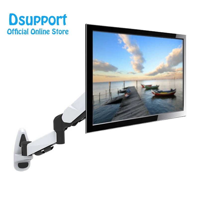 DS112W (10)
