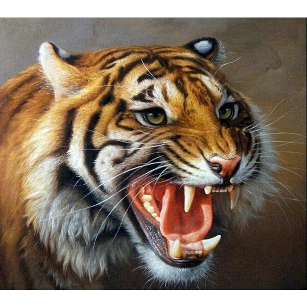 Tiger Magic Tiger Magic