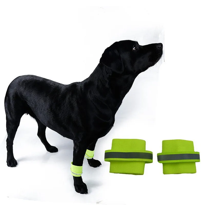 Safety Reflective Knee Braces Dog Fluorescent