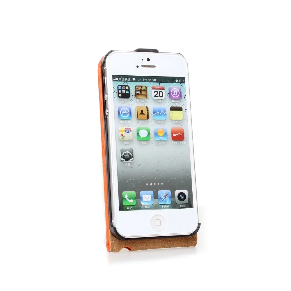 iPhone 55S  (21)