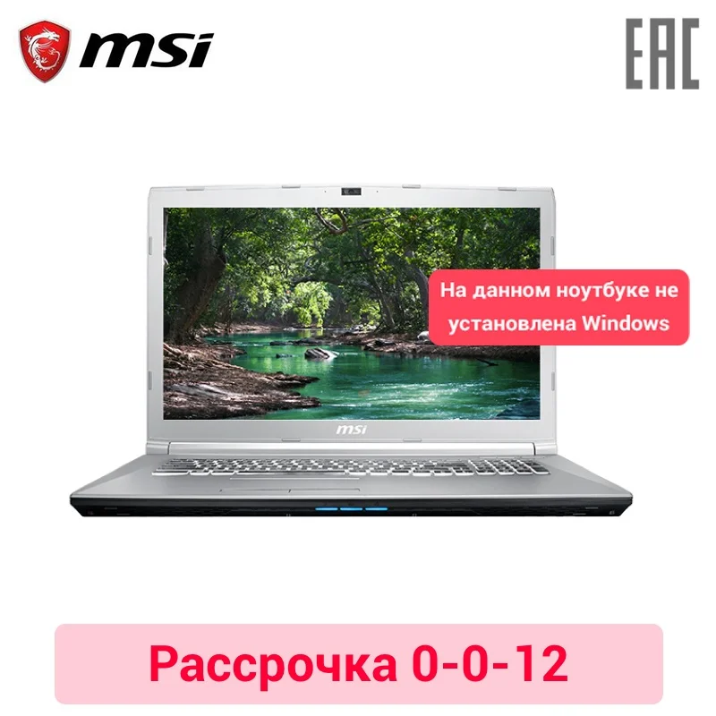 

Игровой ноутбук MSI PE72 8RC 17,3 "/i7-8750H/8 GB/1 ТБ + 128 GB/GTX 1050/NoODD/Dos/серебро (9S7-179F43-068) 0-на возраст от 0 до 12 лет