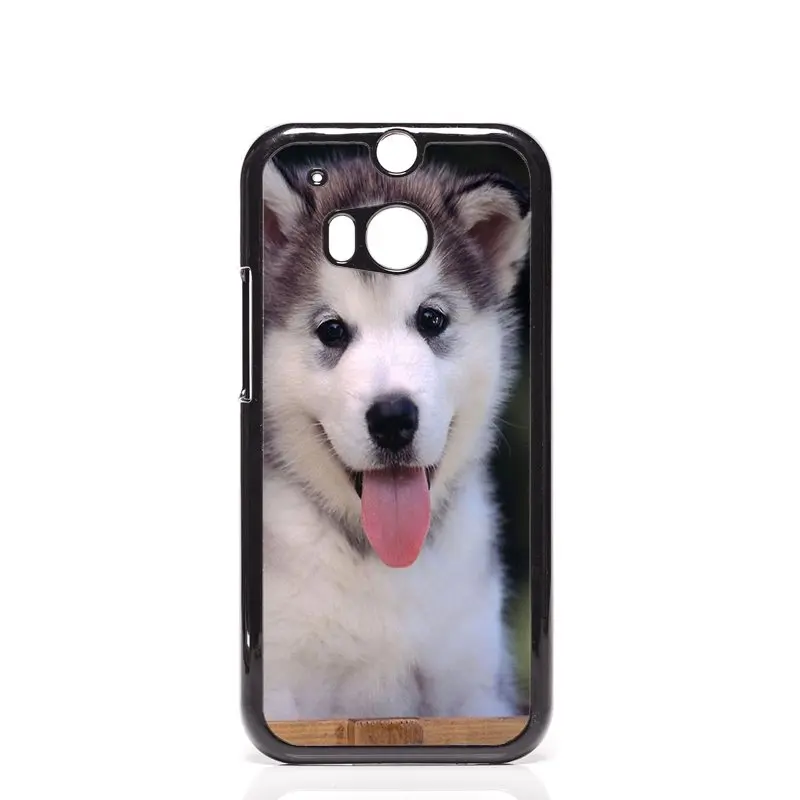 10379699