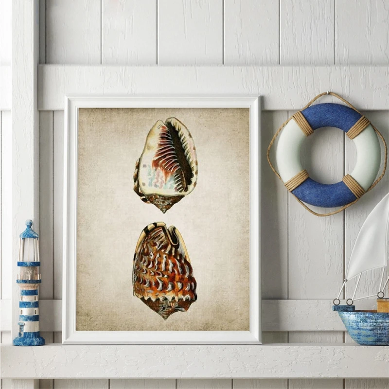 Retro-Seashell-Poster-Art-Print-Wall-Picture-Home-Decor-Vintage-Marine-Prints-Bathroom-Wall-Art-Canvas (2)