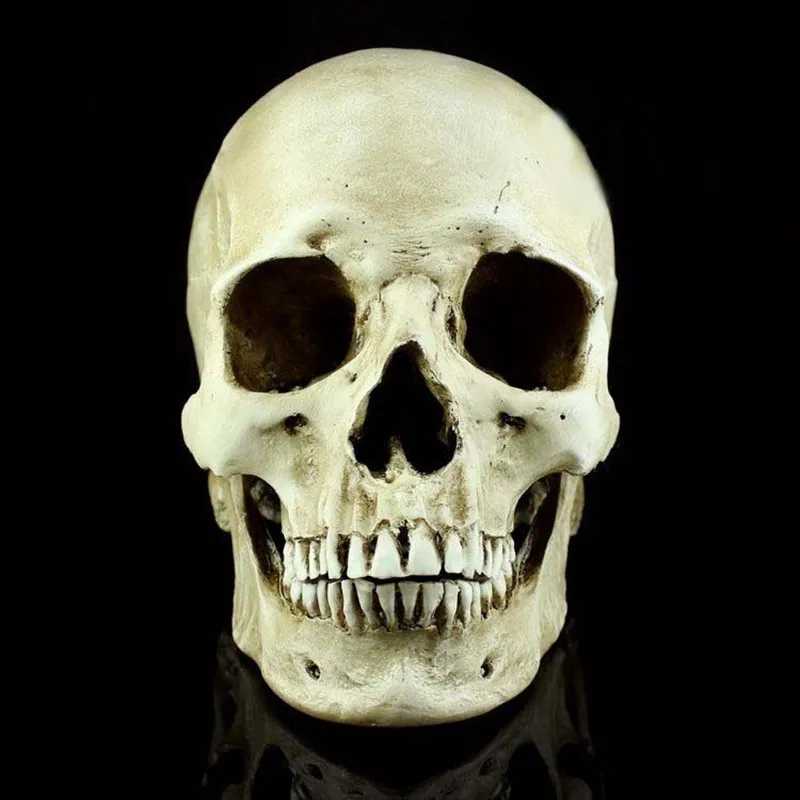 Череп на белом фоне. Человеческий череп и глазница. Череп без глаз. Очертания черепа. Веселый череп.