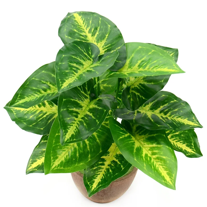 HTB1xpROXTlYBeNjSszcq6zwhFXac