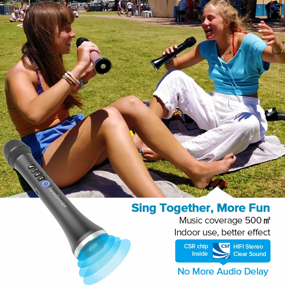 Lewinner L-698D Wireless Karaoke microphone20W