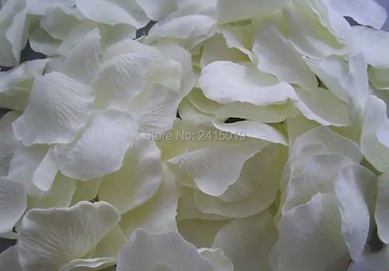 Rose Petal white color Table Confetti Wedding Christening100 Petals-1
