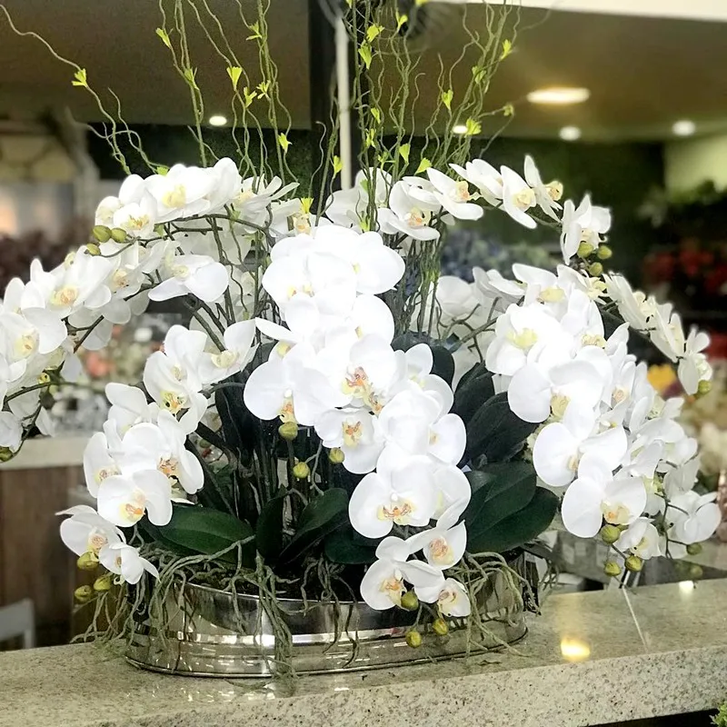 Орхидея в горшке. Орхидея фаленопсис алексия. Композиция из орхидей. Композиция из орхидей. Икебана гиацинт орхидея.