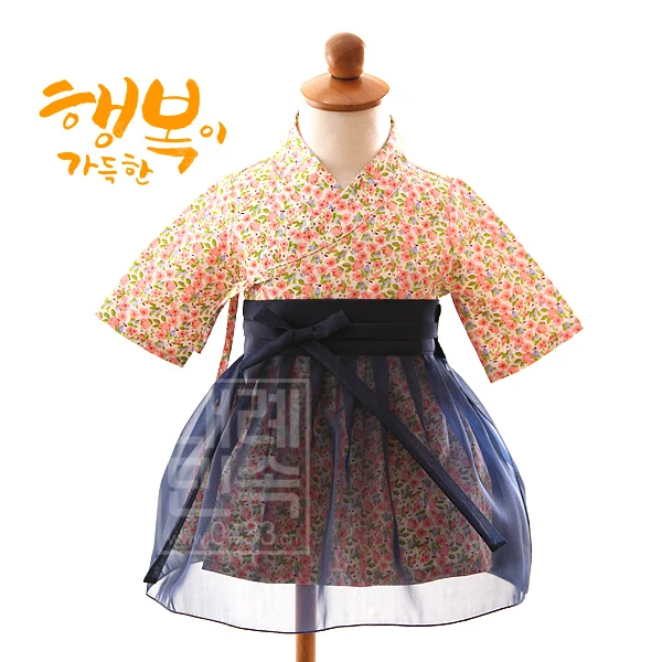 

Outfit Orient Ethnic Stage Dance Copaly Costume Gift Korea Traditional Hanbok Dress for Children Dress Princess Dress