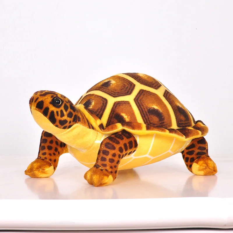 tortoise soft toy online