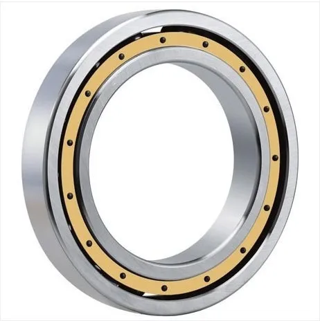Gcr15 NJ1019 EM or NJ1019 ECM Brass Cage (95x145x24mm) Cylindrical Roller Bearings ABEC-1,P0