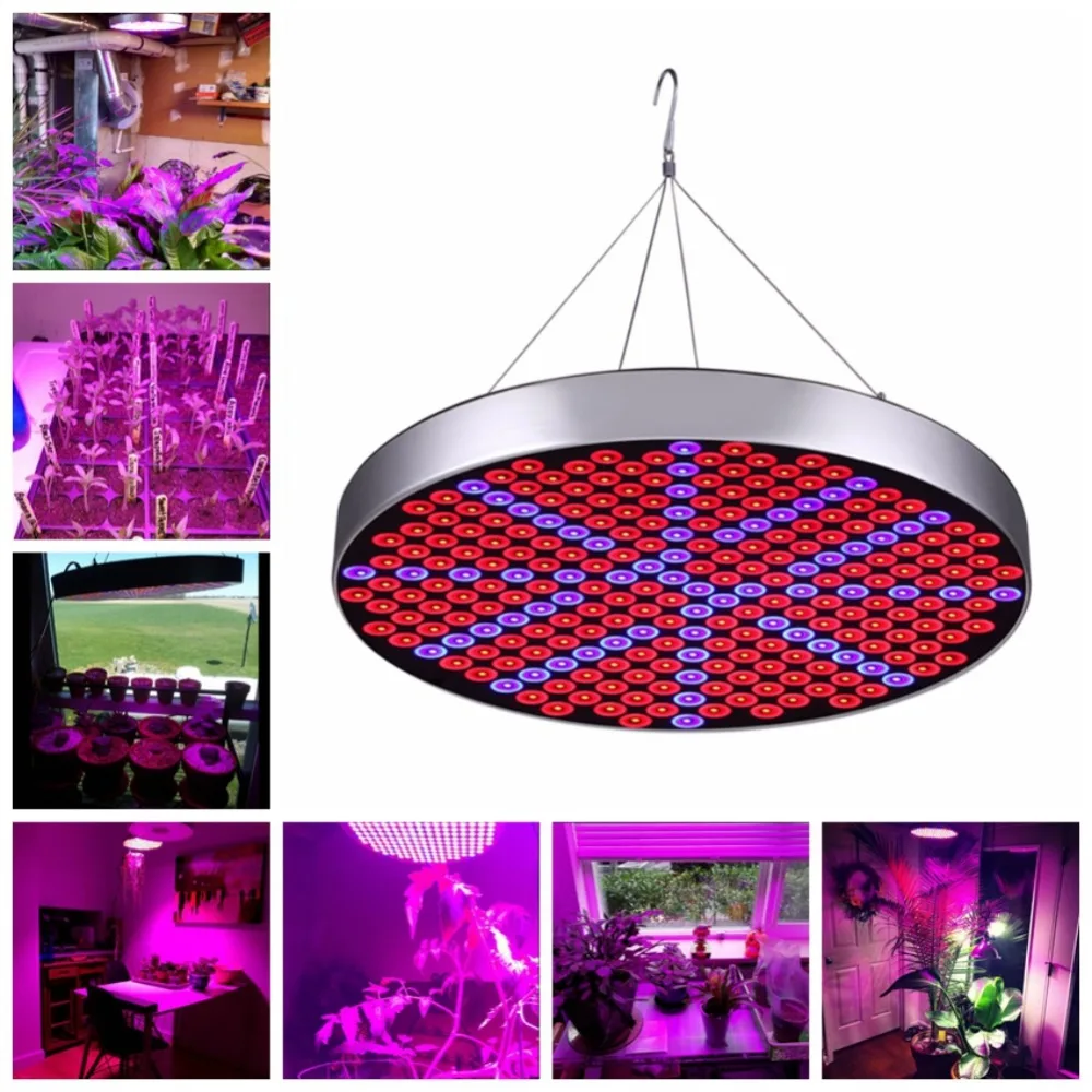 

50W 250 LED Indoor Plants Hanging Plant Grow Light Growing Lamp With Spectrum Hydroponics For Germination Vegetative Flowers