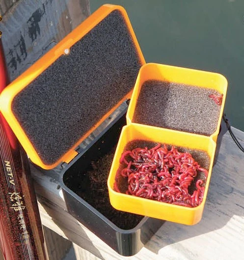 Fishing Tackle Boxes With Breathable Holes For Earthworm Worm Bait