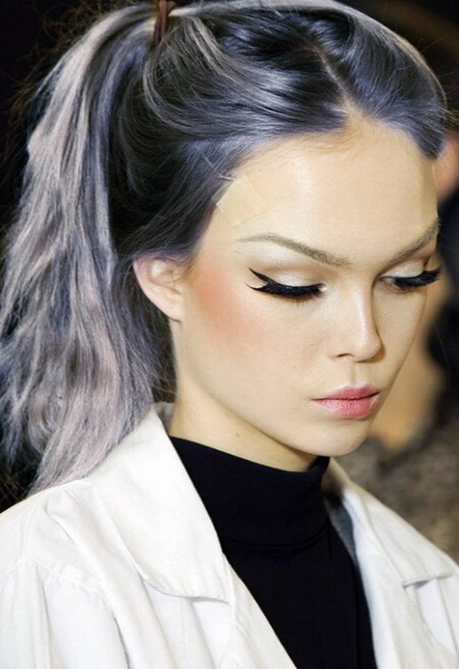 Brow Makeup For Gray Hair Makeup Vidalondon