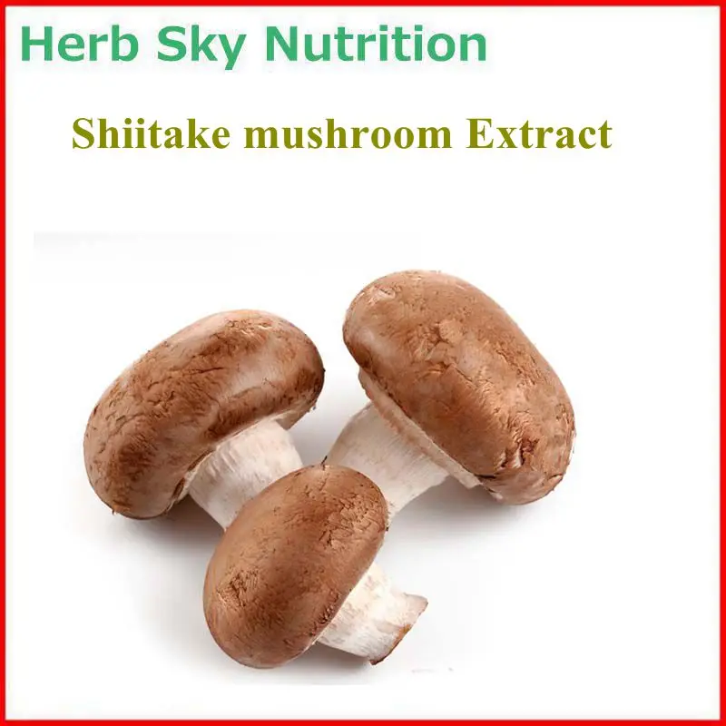 

100% Natural&Pure Shiitake mushroom/ Lentinula edodes Extract Powder with free shipping, Nourishing blood