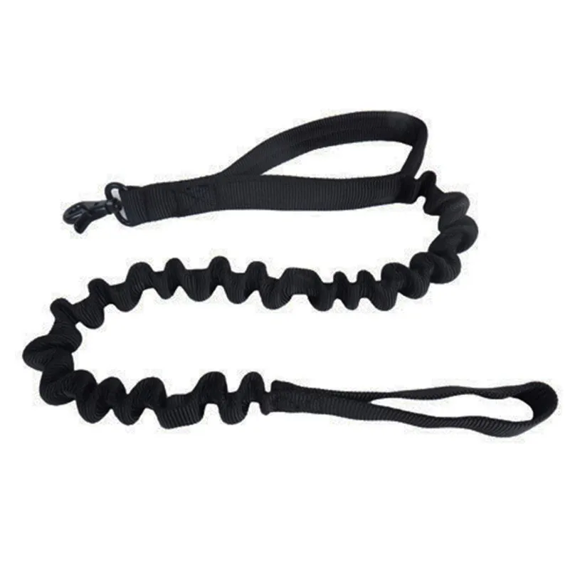 Dog Leash 06