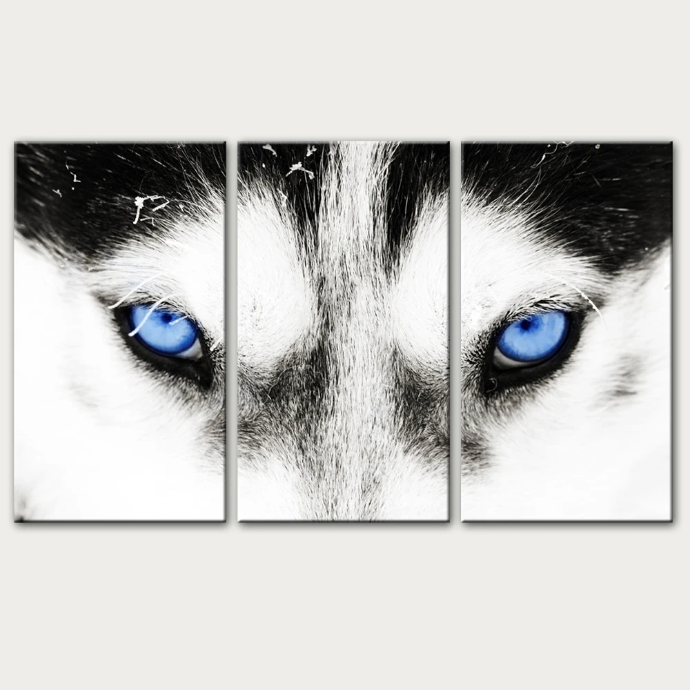 3 Panels Siberian husky Wall Art Canvas Prints Wolf's Eyes Canvas