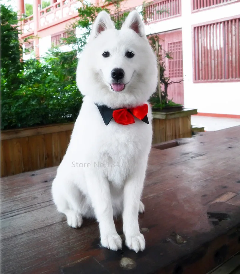 Large Breed Dog Bow Ties Large Breed Dog Bow Ties