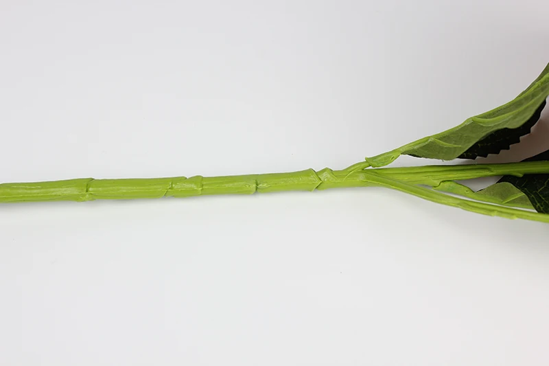 stem detail