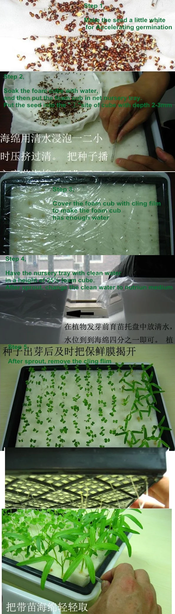 40 листов/партия) кубики пены для запуска семян для гидропоники системы(1