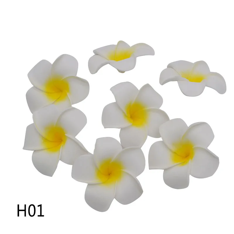 H01