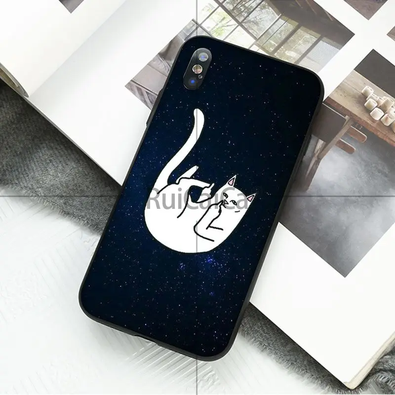 Art middle finger cat