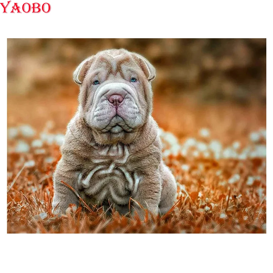 5d diy Алмазная картина фото на заказ Алмазная вышивка pet shar pei животное собака полная дрель квадратная мозаичная картина из страз