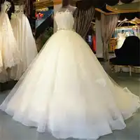 Hollow Back Illusion Vintage Organza Wedding Dress Ball Gown Bridal Dress White Sleeveless Court Train Wedding Dresses WX0008