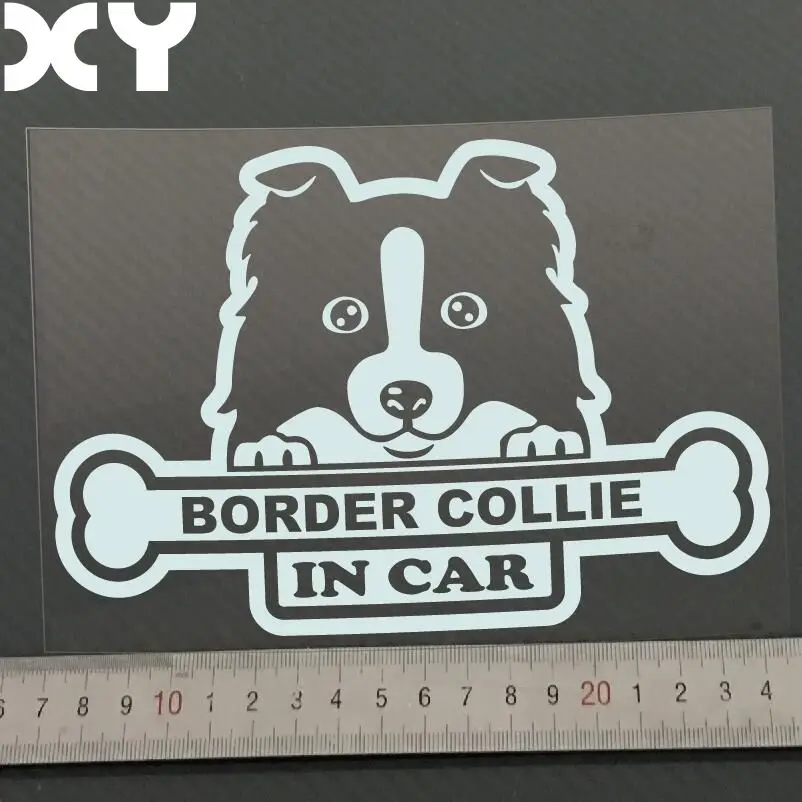 Collie Cane In Vinile Adesivo Decalcomania In 8 Colori